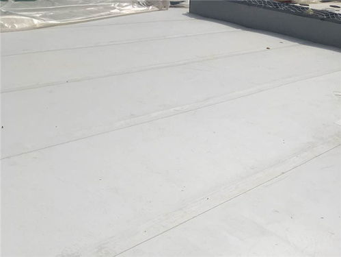 試產成功 卓寶新增高分子防水卷材產線,助推'雙碳'目標防水保溫工程